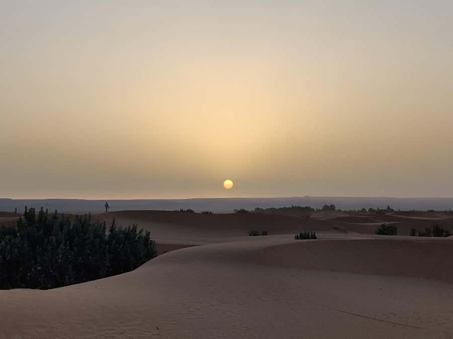 From Fes: 3-Day Luxury Desert Tour to Marrakech via Merzouga - Day 2: Erfoud, Todra Gorge, and the road to Dades