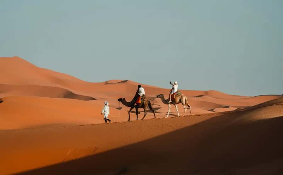 From Fes: 3-Day Luxury Desert Tour to Marrakech via Merzouga - Transport, guides, and the human side of the trip
