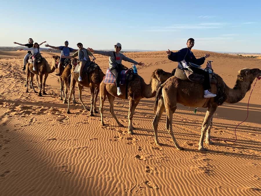 From Fes: 3-Day Luxury Desert Tour to Marrakech via Merzouga - Should you book it?