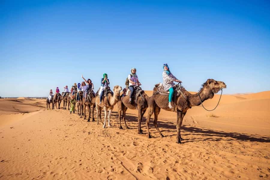 From Fez: 2-Day luxury Sahara Desert Tour with Camel Ride - Drivers, communication, and comfort