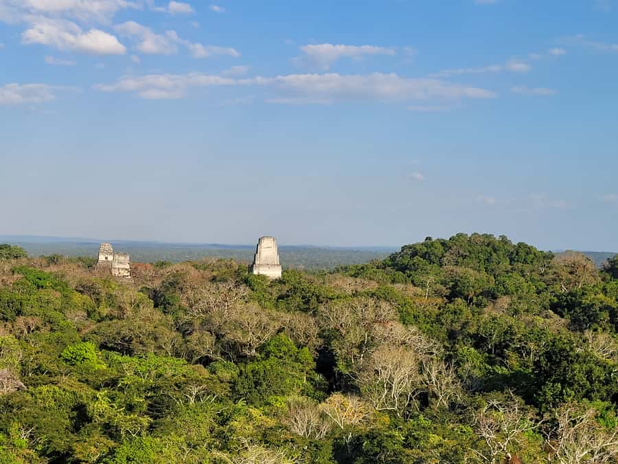 From Flores: Tikal VIP Exclusive cultural Tour All inclusive - Meals, water, and the timing question