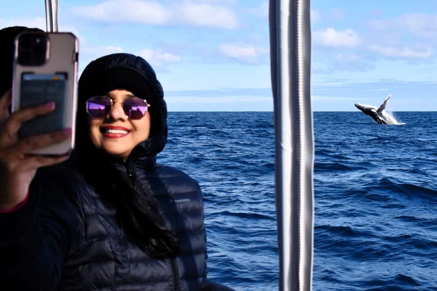 From Fremantle: 2-Hour Luxury Whale-Watching Cruise - The two-hour route and what happens at sea