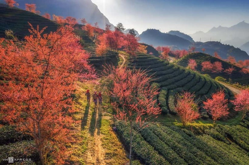 From Hanoi: 2-Day Luxury Sapa Trekking Tour with Homestay - Key points to know before booking