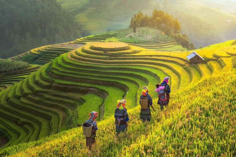From Hanoi: 2-Day Luxury Sapa Trekking Tour with Homestay - What $110 buys you in northern Vietnam
