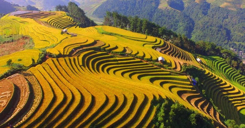 From Hanoi: 2-Day Luxury Sapa Trekking Tour with Homestay - Spring rolls, local food, and the homestay evening