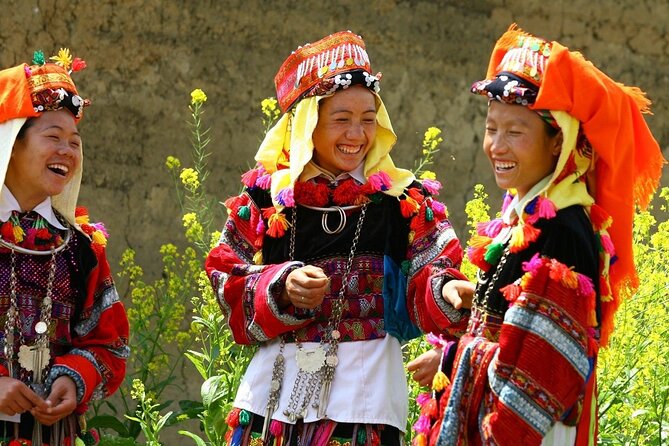 From Hanoi: 2-Day Overnight Sapa Tour by Luxury Van Limousine - Y Linh Ho, Lao Chai, and Ta Van