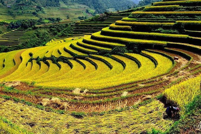 From Hanoi: 2-Day Overnight Sapa Tour by Luxury Van Limousine - Hotel, bungalow, homestay, or dormitory?
