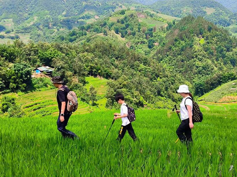 From Hanoi: 2-Day Sapa Trek Tour - Luxury Limousine Transfer - Day two: Lao Chai, Muong Hoa Stream, and Ta Van