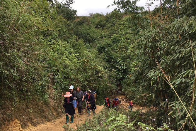 From Hanoi: 3 Days Luxury Sapa Trek & Fansipan Peak with Dcar - Dcar transport, meals, and hotel value