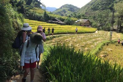 3 Days Luxury Sapa Trek & Fansipan Peak with Dcar
