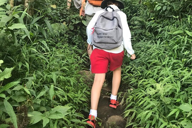 From Hanoi: 3 Days Luxury Sapa Trek & Fansipan Peak with Dcar - Should you book it?