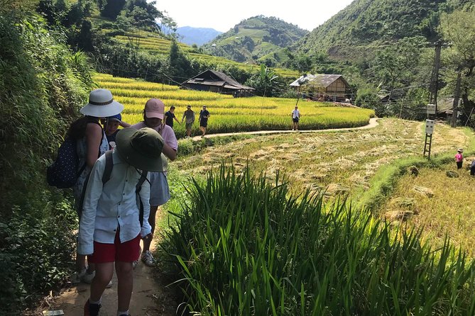 From Hanoi: 3 Days Luxury Sapa Trek & Fansipan Peak with Dcar - Day 3: Ham Rong Mountain before the long drive south