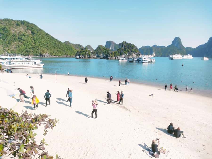 From Hanoi: Ha Long Bay Luxury Day Cruise with Food & Kayak - Should you book this Ha Long Bay cruise?