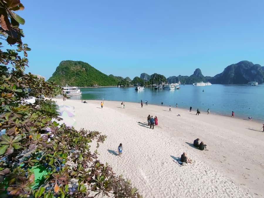 From Hanoi: Ha Long Bay Luxury Day Cruise with Food & Kayak - Sunset tea on the return cruise