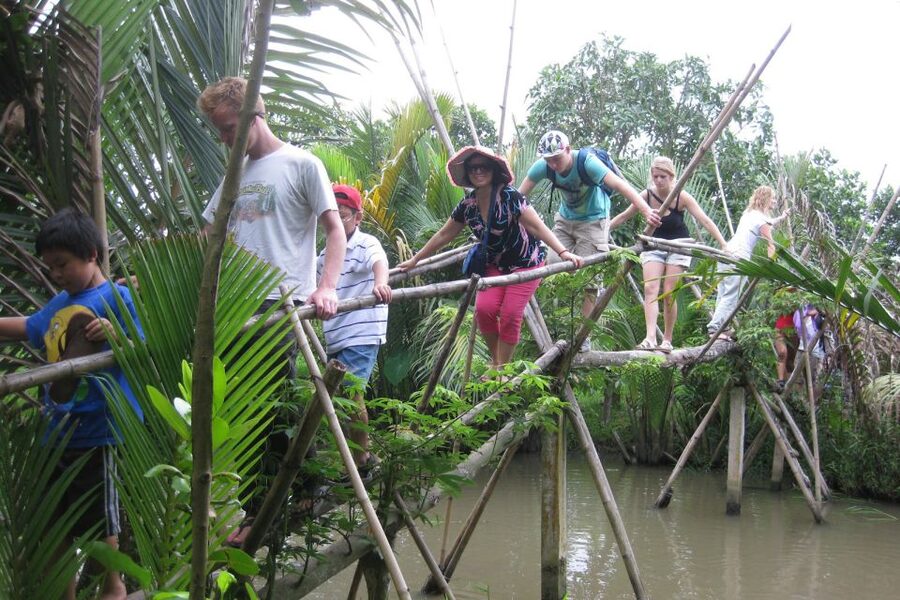From Ho Chi Minh City: Mekong Delta VIP Tour by Limousine - Vietnamese lunch with time to slow down
