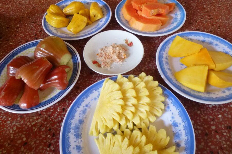 From Ho Chi Minh City: Mekong Delta VIP Tour by Limousine - What the guide adds to the day