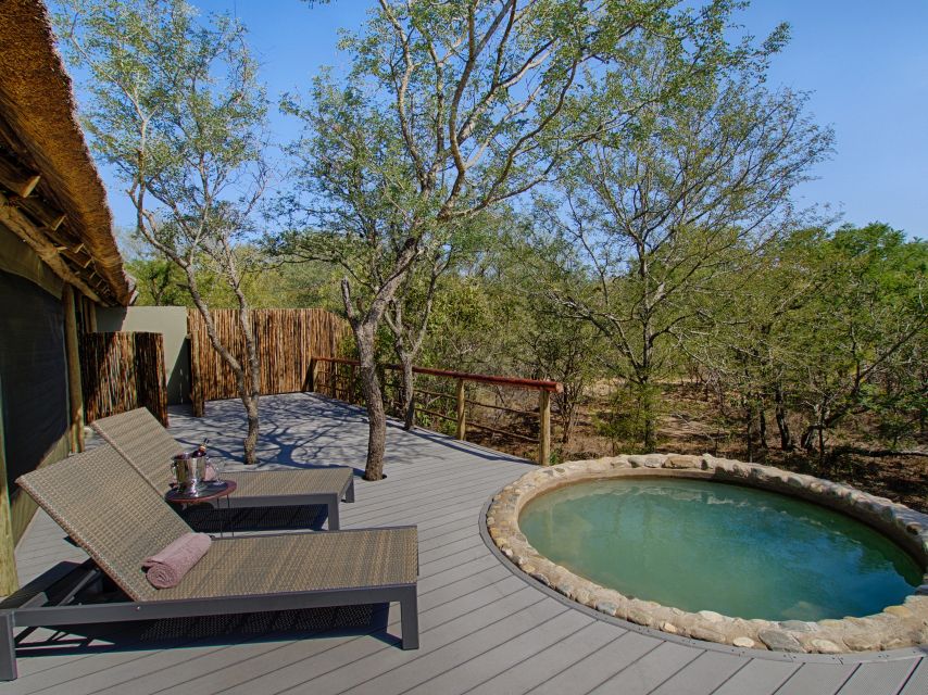 From Johannesburg: Kruger National Park 4-Day Luxury Safari - Should you book this Kruger safari?