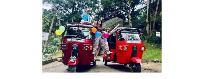 From Kandy: Dambulla to Sigiriya Day Tours by Luxury Car - Choosing between Sigiriya and Pidurangala