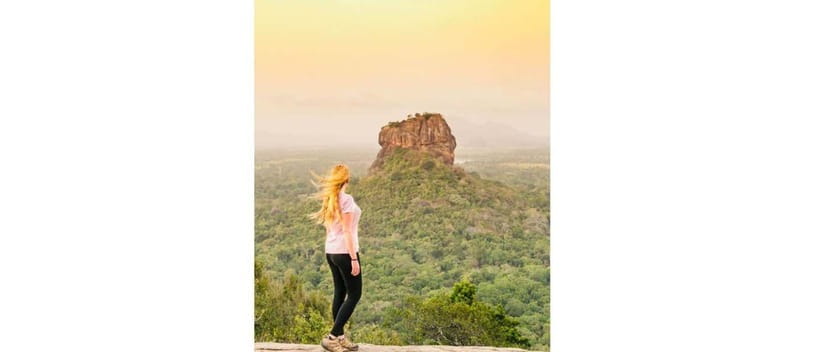 From Kandy: Dambulla to Sigiriya Day Tours by Luxury Car - Wildlife safari costs need careful planning