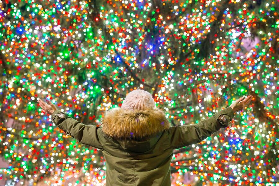 From Manhattan: 4-Hour Christmas Lights Luxury Bus Tour - The main event: Dyker Heights after dark