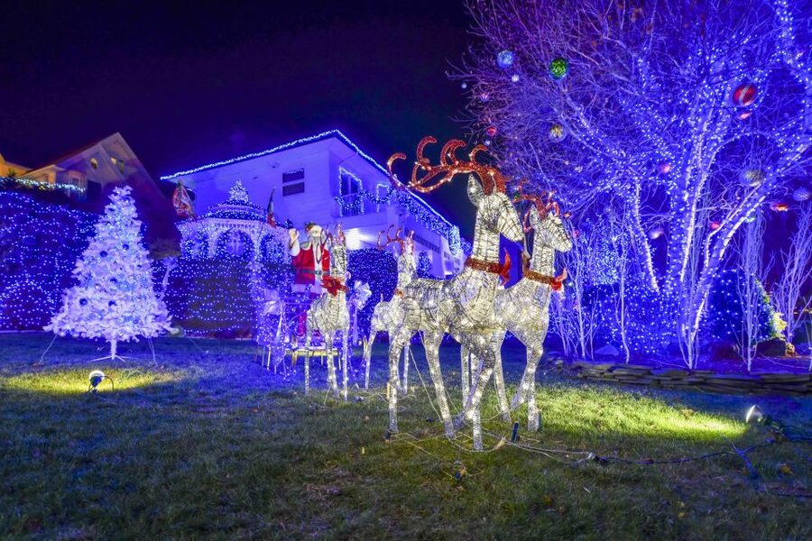 From Manhattan: 4-Hour Christmas Lights Luxury Bus Tour - The ride back includes more New York stories