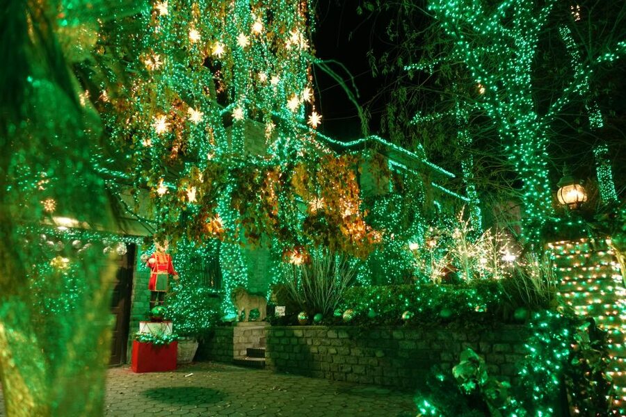 From Manhattan: 4-Hour Christmas Lights Luxury Bus Tour - Rockefeller Center gives the night a classic ending