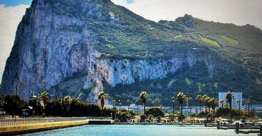 From Marbella/Estepona: VIP Gibraltar Tour Monkeys + Nature Reserve + Shopping - Key points to know before you book