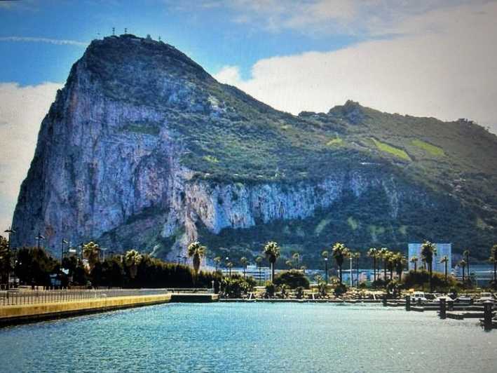 From Marbella/Estepona: VIP Gibraltar Tour Monkeys + Nature Reserve + Shopping - Taking the cable car up the Rock
