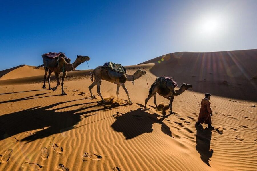 From Marrakech: 3-Day Luxury Desert Tour to Fes via Merzouga - Guides, group size, and the feel of the ride