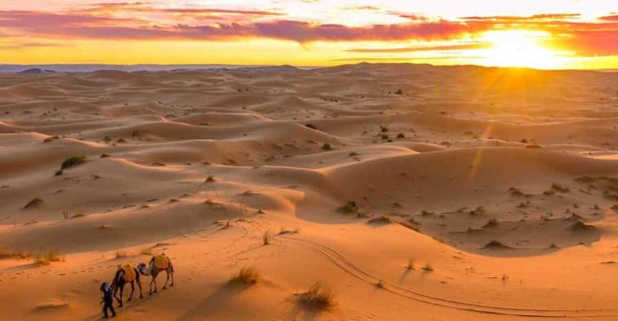 From Marrakech: 3 Days Desert Tour To Merzouga Luxury Camp - Who Will Enjoy This Tour Most?