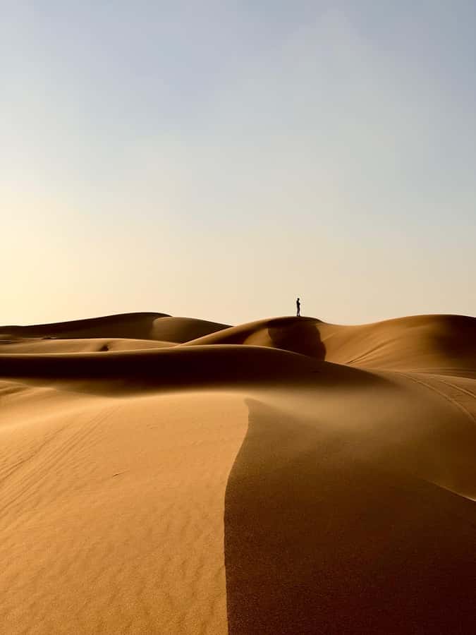 From Marrakech: Merzouga 4 Day Luxury Tour w/ Optional Quad - Day Three: A full Merzouga desert day