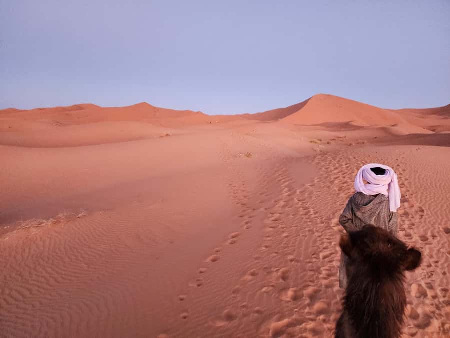 From Marrakech: Merzouga 4 Day Luxury Tour w/ Optional Quad - Transport, guides, and group atmosphere