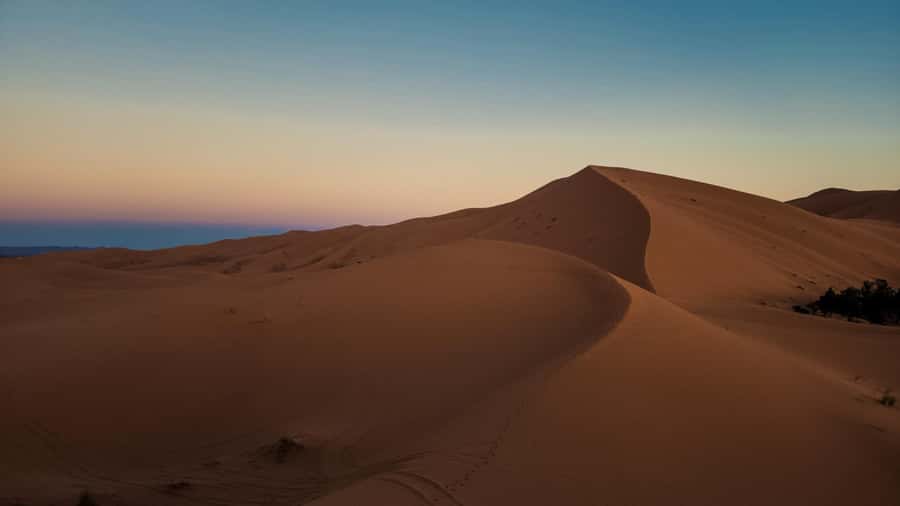 From Marrakech: Merzouga 4 Day Luxury Tour w/ Optional Quad - Who should book this Morocco desert tour?