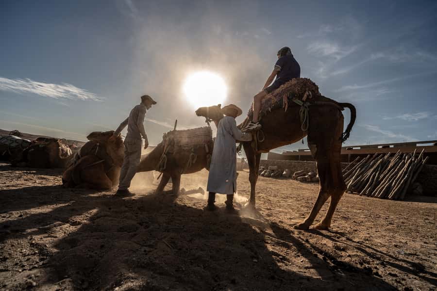 From Marrakech: VIP Agafay Desert & Oasis Camel Experience - Agafay is a quick desert escape from Marrakech