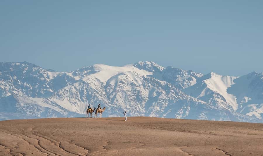 From Marrakech: VIP Agafay Desert & Oasis Camel Experience - Mint tea sets the tone at the oasis