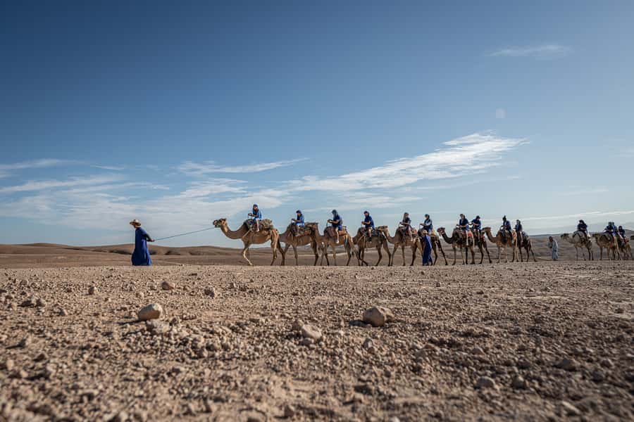 From Marrakech: VIP Agafay Desert & Oasis Camel Experience - Reaching the oasis after a 45-minute drive