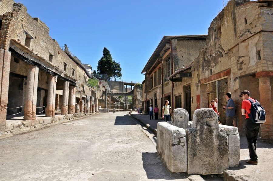 From Naples: Pompeii and Herculaneum VIP Tour with Lunch - Is the $237.90 price fair?