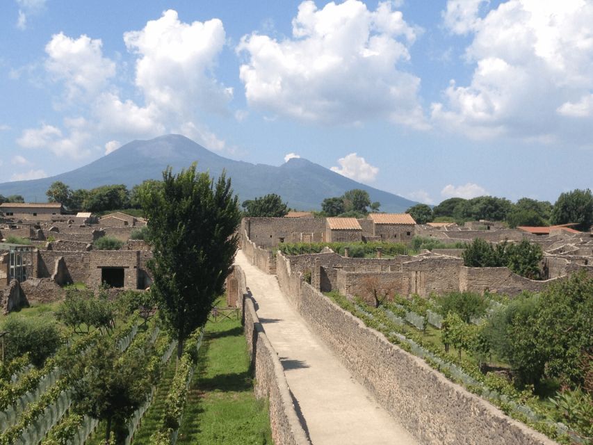 From Naples: Pompeii Ruins VIP Guided Tour - Entering the Pompeii Archaeological Park