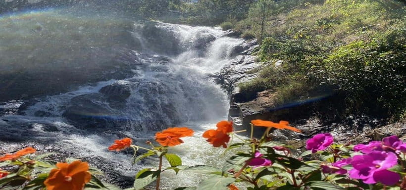 From Nha Trang: Best Seller Top Site Luxury Da Lat City Trip - Datanla Falls: your first taste of Da Lat’s outdoors