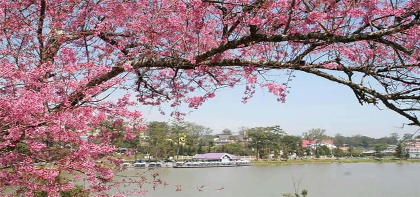 From Nha Trang: Best Seller Top Site Luxury Da Lat City Trip - The ride inland through Vietnam’s coffee country