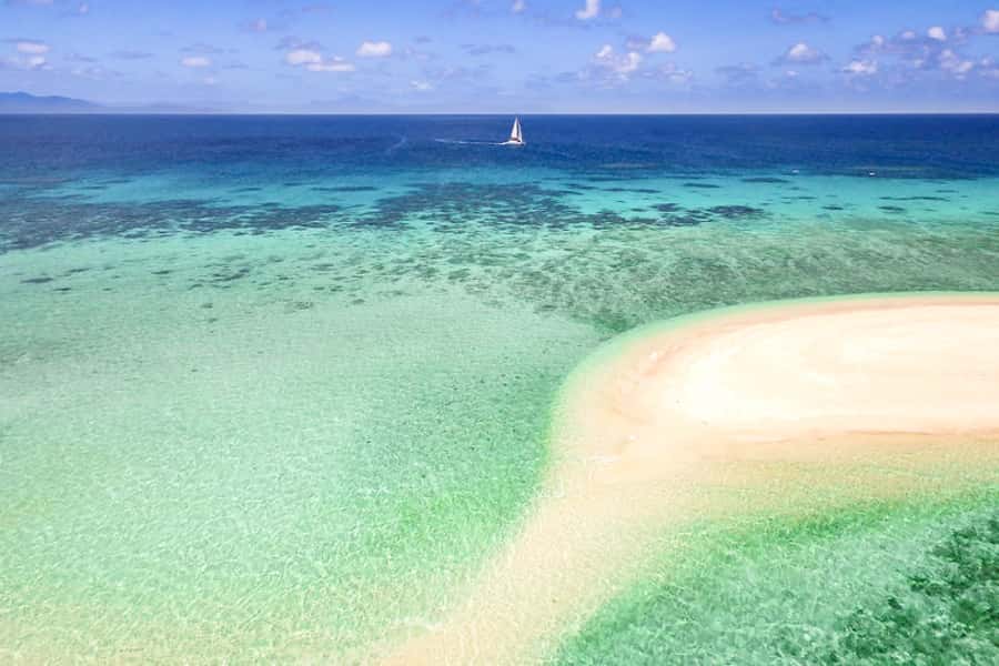 From Port Douglas: Outer Reef Cruise by Luxury Catamaran - Key reasons to consider this Port Douglas reef cruise