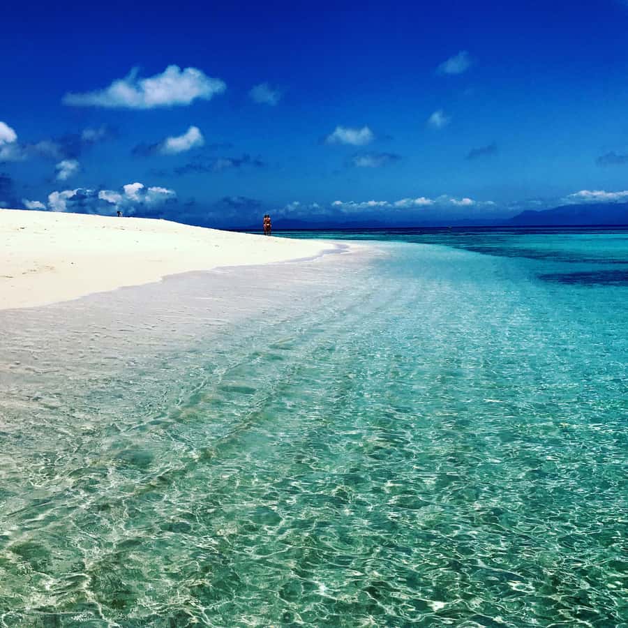 From Port Douglas: Outer Reef Cruise by Luxury Catamaran - Who should book this cruise?