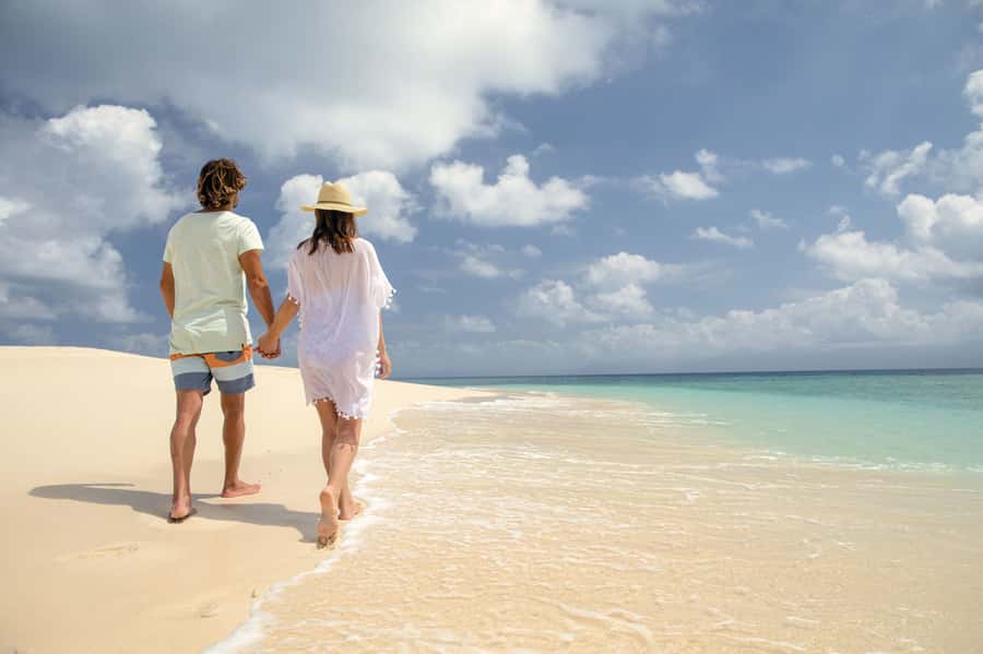 From Port Douglas: Outer Reef Cruise by Luxury Catamaran - Lunch, refreshments, and the second reef site