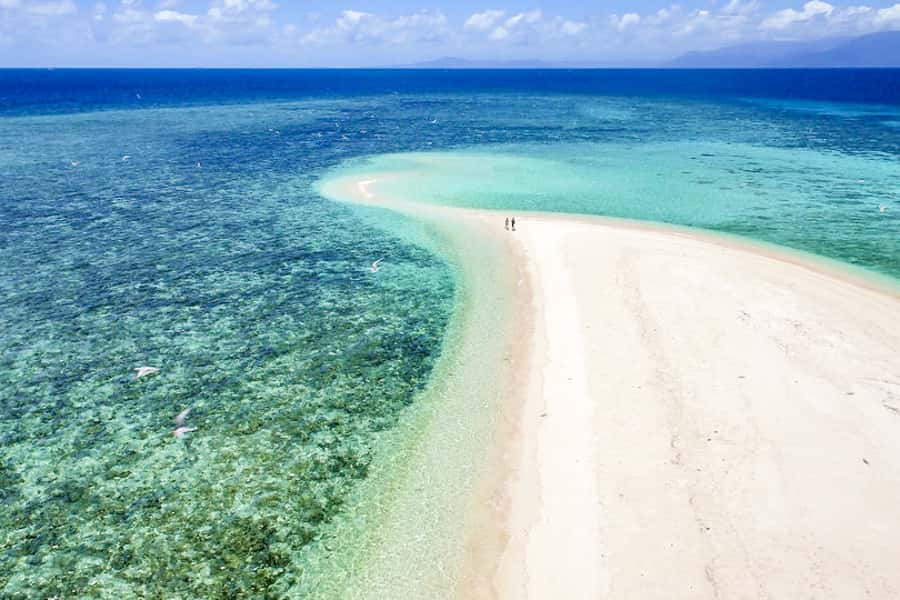 From Port Douglas: Outer Reef Cruise by Luxury Catamaran - Sailing back to Port Douglas