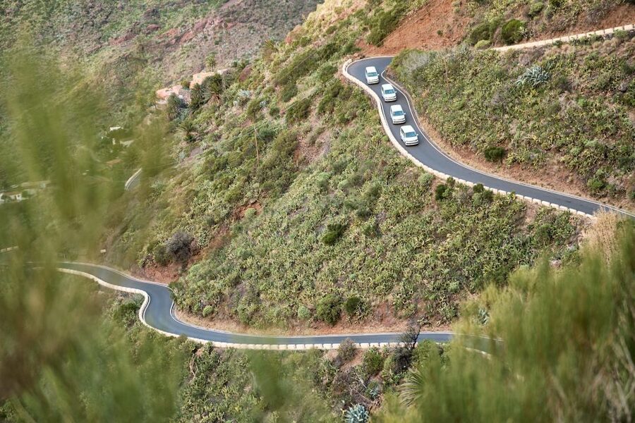 From Puerto de La Cruz: Full-Day Vip Tour to Gomera - Igualero, Chipude, and the high mountain roads