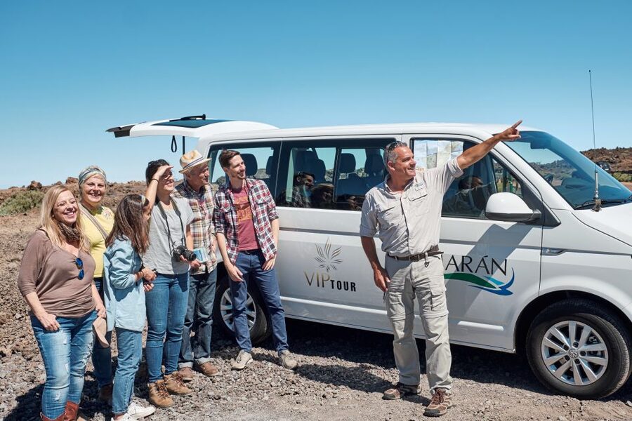 From Puerto de la Cruz: Teide and Masca VIP Tour - Vehicle comfort, group size, and accessibility