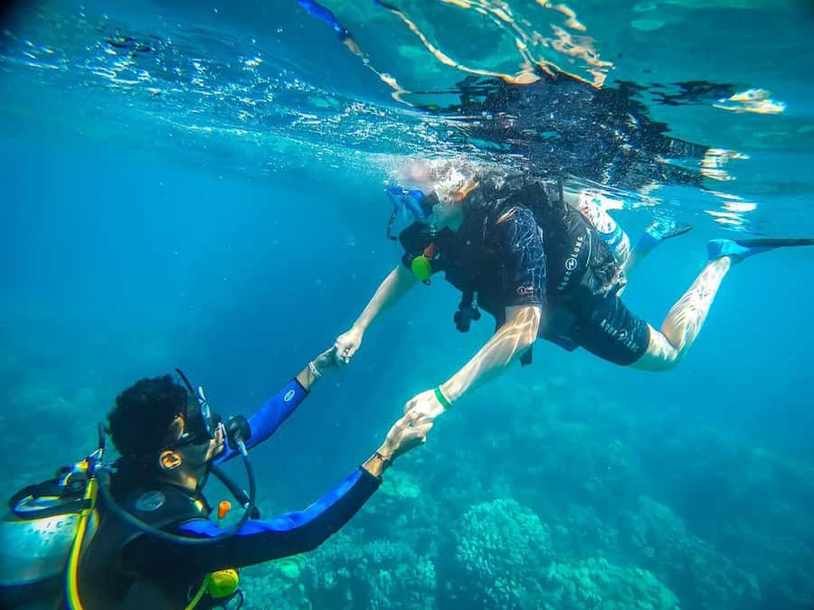 From Sharm: Luxury Diving cruise to Ras Mohammed with Lunch - Key points before you book