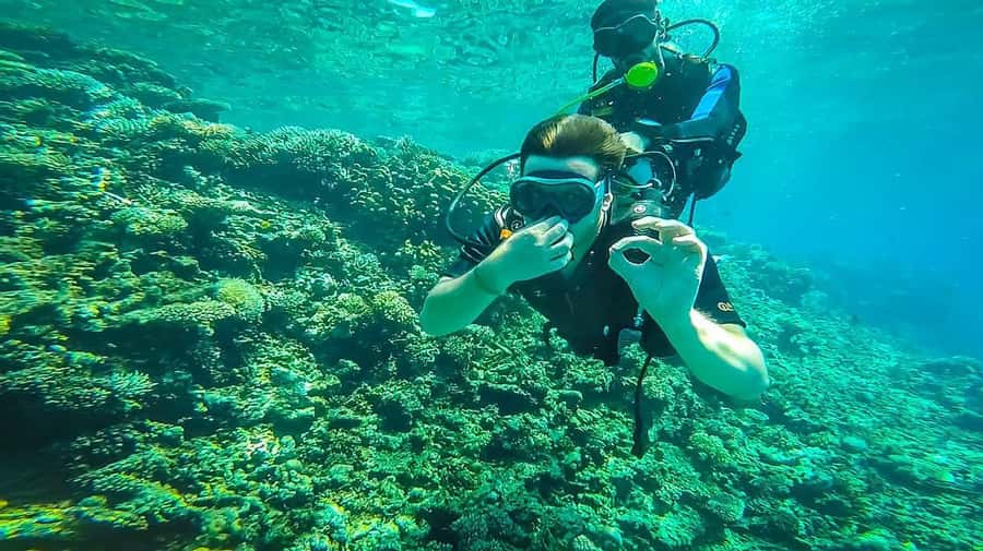 From Sharm: Luxury Diving cruise to Ras Mohammed with Lunch - The second reef stop and lunch