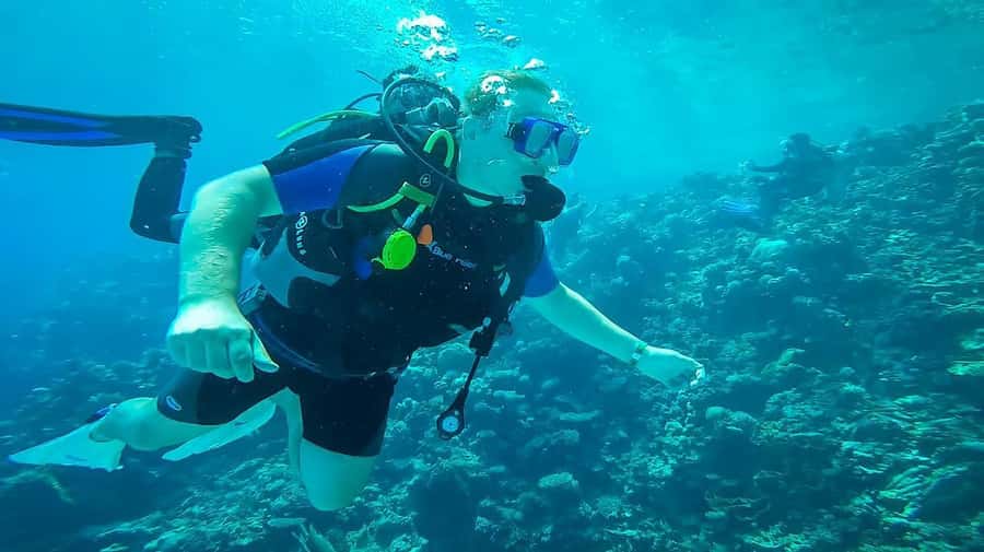 From Sharm: Luxury Diving cruise to Ras Mohammed with Lunch - What the $54 price really buys you