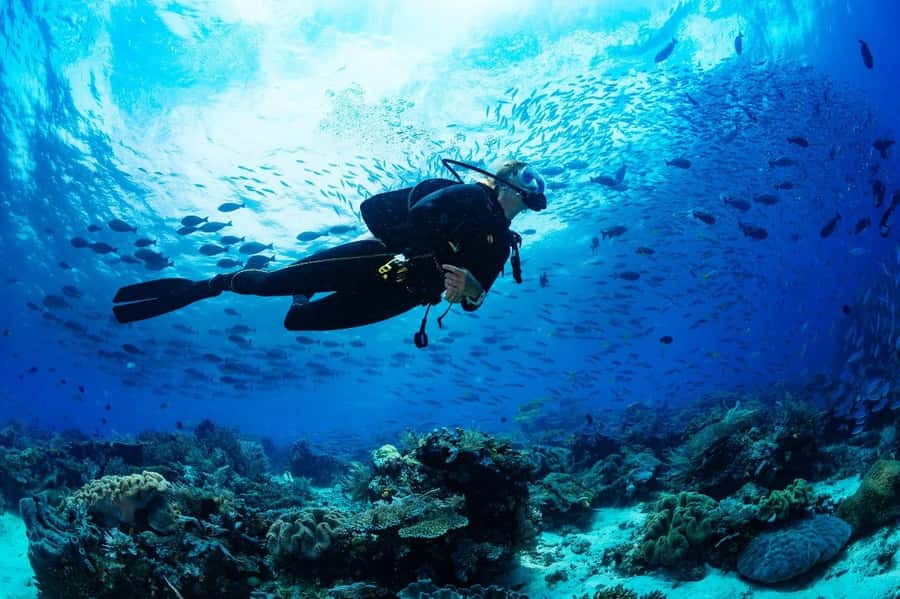 From Sharm: Luxury Diving cruise to Ras Mohammed with Lunch - The 90-minute boat ride to the park